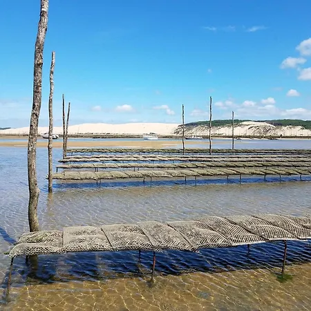 Standing Centre Arcachon, Grand Hotel, 6 Pers, Plages Et Commerces A Proximite - Fr-1-474-5 アパート *